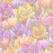 background092