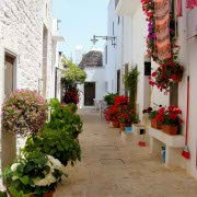 !old town-cozy place-cozy place043