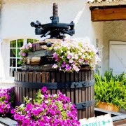 !old town-cozy place-cozy place044