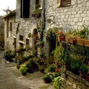 !old town-cozy place-cozy place053