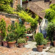 !old town-cozy place-cozy place054