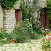 !old town-cozy place-cozy place055