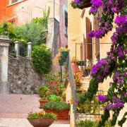 !old town-cozy place-cozy place056