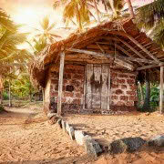 !old town-cozy place-cozy place076