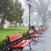 !old town-cozy place-cozy place080