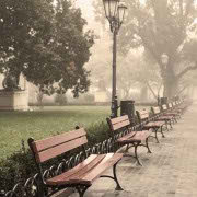 !old town-cozy place-cozy place081