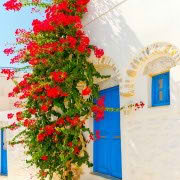 !old town-cozy place007