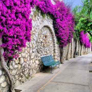 !old town-cozy place013