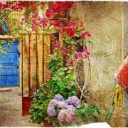 !old town-cozy place017