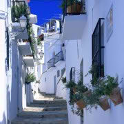 !old town-cozy place031