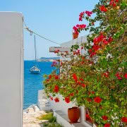 !old town-cozy place034